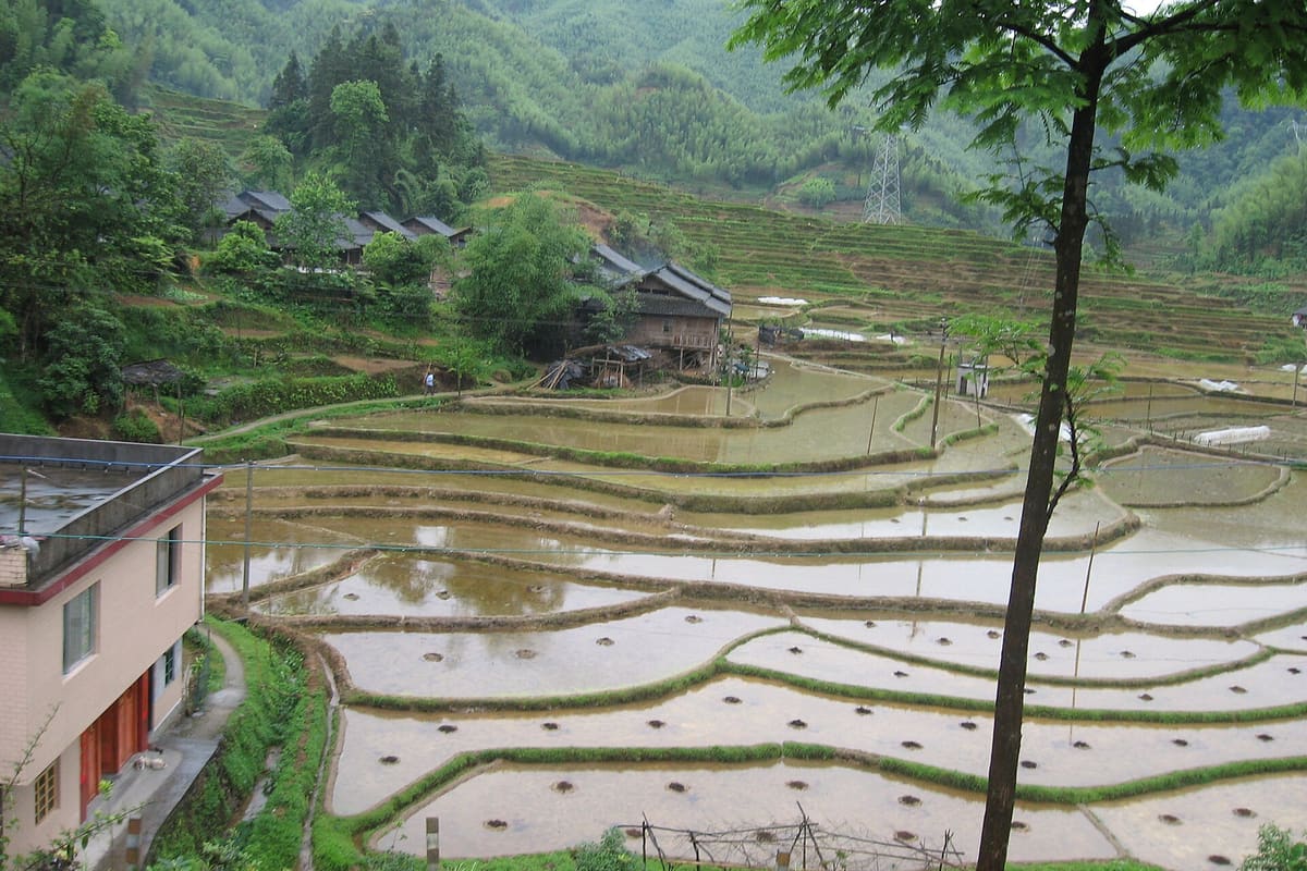 Irrigated smallholdings of the kind aid agencies buy from in surplus zones a few hundred kilometres away.
