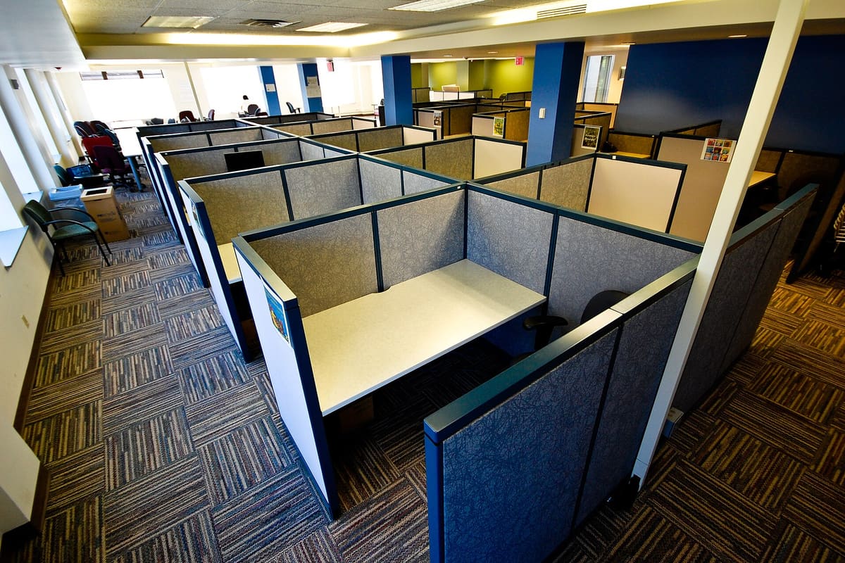 An office floor midway through the working week. Hiring has narrowed to three sectors.